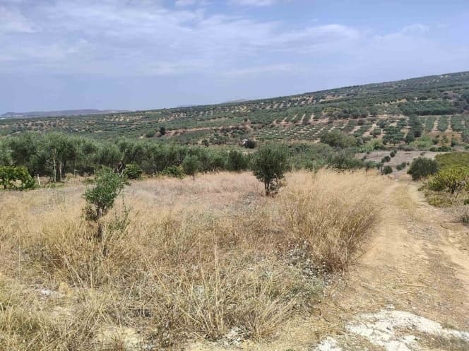 Building Plot in Epano Vatheia, Episkopi — Photo 2 of 2