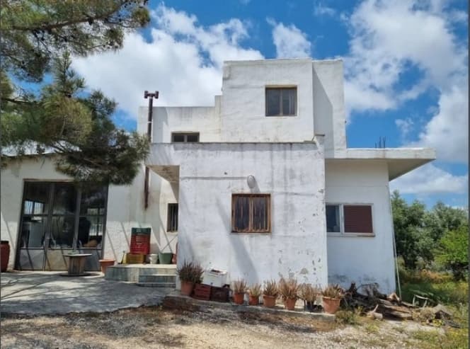 Building Plot in Lofoupoli, Temenos — Photo 2 of 12