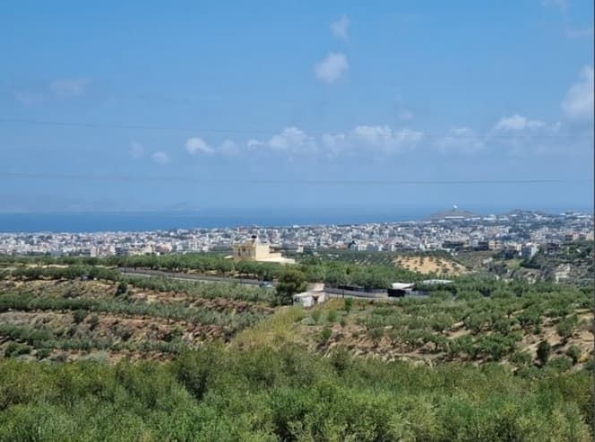 Building Plot in Lofoupoli, Temenos — Photo 7 of 12