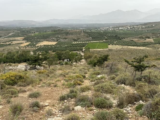 Building Plot in Alagni, Arkalochori — Photo 25 of 27