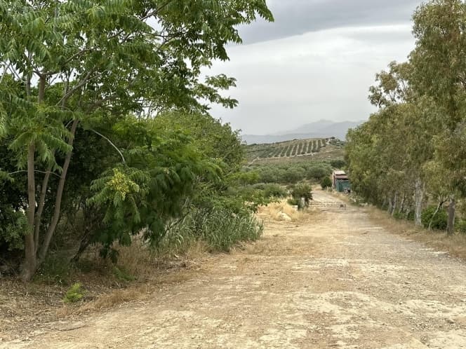 Building Plot in Alagni, Arkalochori — Photo 11 of 27