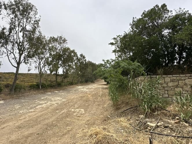 Building Plot in Alagni, Arkalochori — Photo 10 of 27