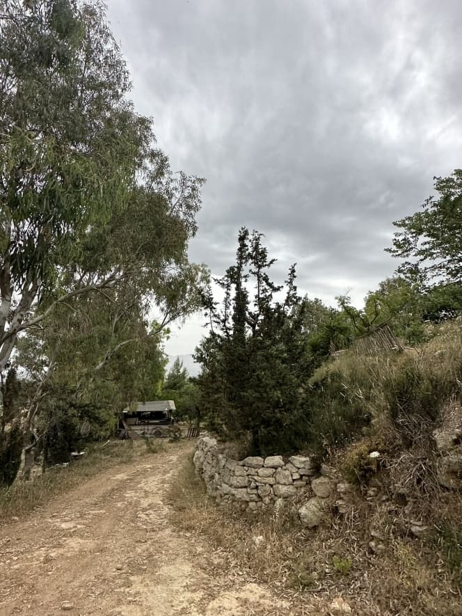Building Plot in Alagni, Arkalochori — Photo 19 of 27