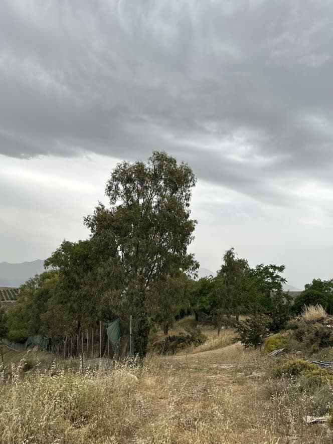 Building Plot in Alagni, Arkalochori — Photo 22 of 27