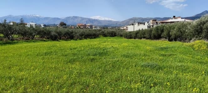 Οικόπεδο στην Άγιοι Θεόδωροι, Γάζι — Φωτογραφία 1 από 2