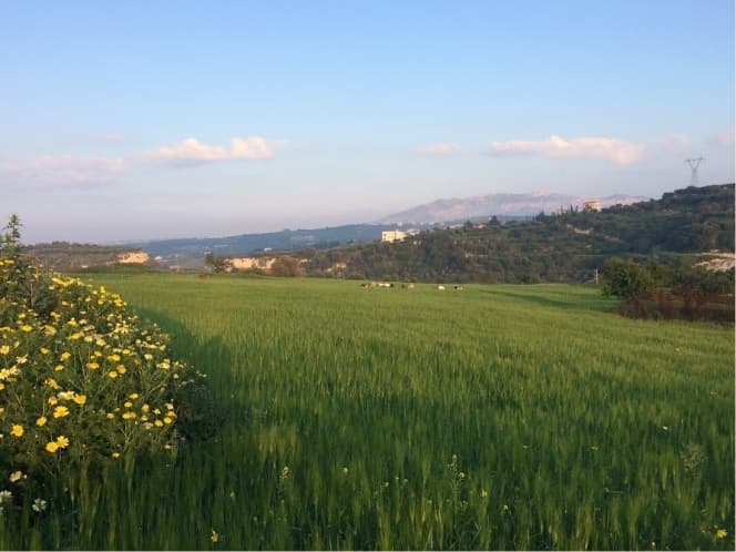 Building Plot in Ano Kalesia, Temenos