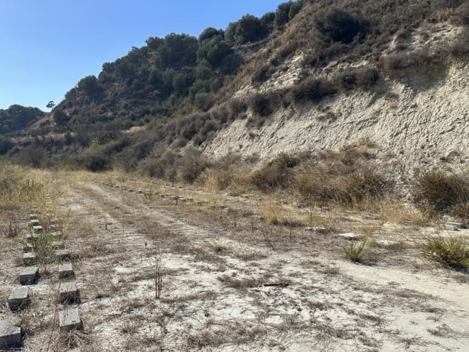 Building Plot in Dafnes, Tetrachori — Photo 2 of 2