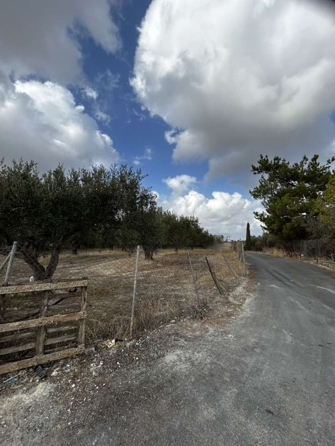 Building Plot in Marathitis, Temenos — Photo 3 of 4
