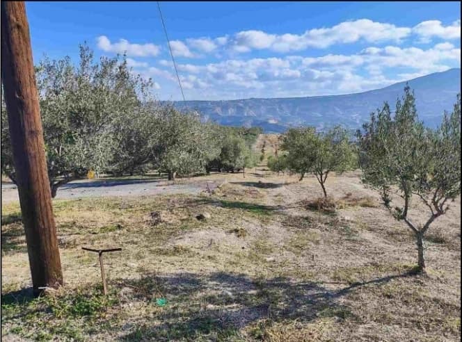 Parcel in Athanatoi, Temenos — Photo 1 of 3