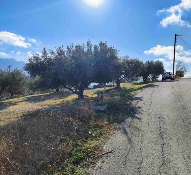 Parcel in Athanatoi, Temenos — Photo 2 of 3