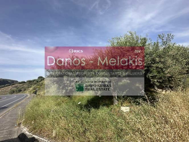 Parcel in Dafnes, Tetrachori — Photo 10 of 17