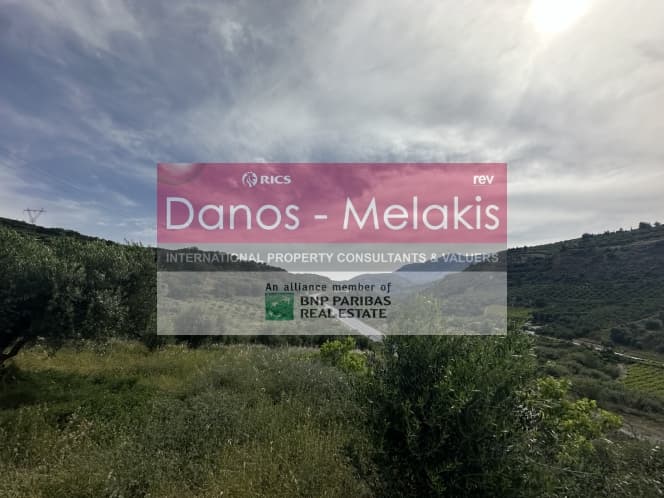 Parcel in Dafnes, Tetrachori — Photo 5 of 17