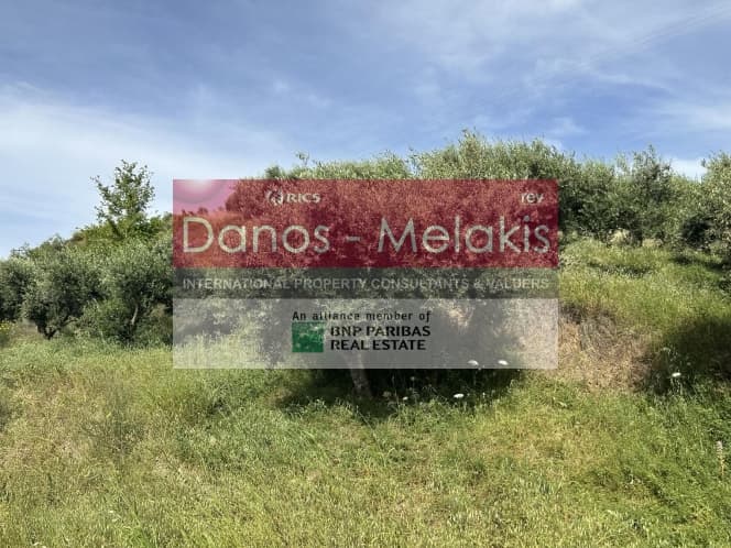 Parcel in Dafnes, Tetrachori — Photo 12 of 17