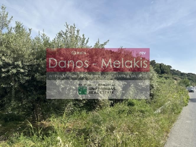 Parcel in Dafnes, Tetrachori — Photo 13 of 17