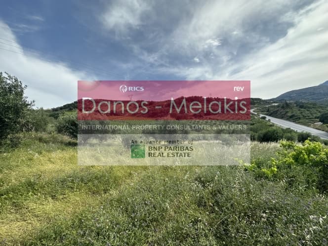 Parcel in Dafnes, Tetrachori — Photo 9 of 17