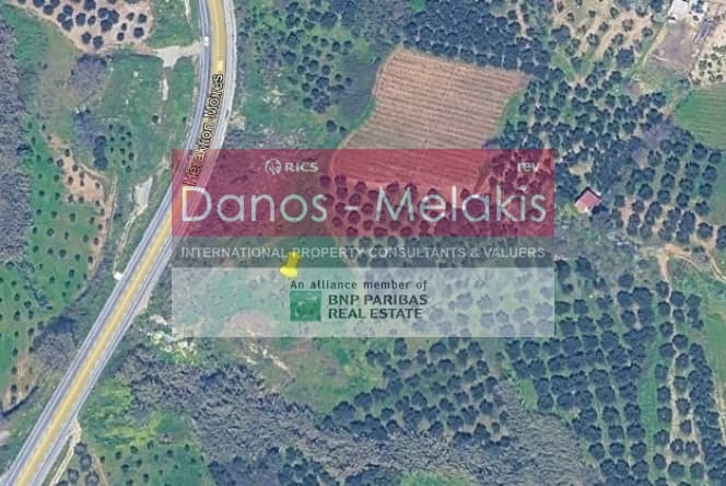 Parcel in Dafnes, Tetrachori — Photo 17 of 17
