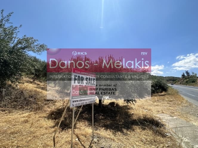 Parcel in Dafnes, Tetrachori — Photo 1 of 17