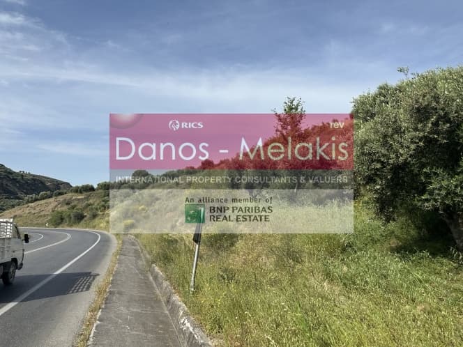 Parcel in Dafnes, Tetrachori — Photo 7 of 17