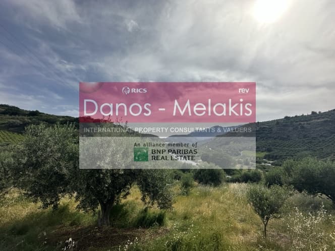 Parcel in Dafnes, Tetrachori — Photo 15 of 17