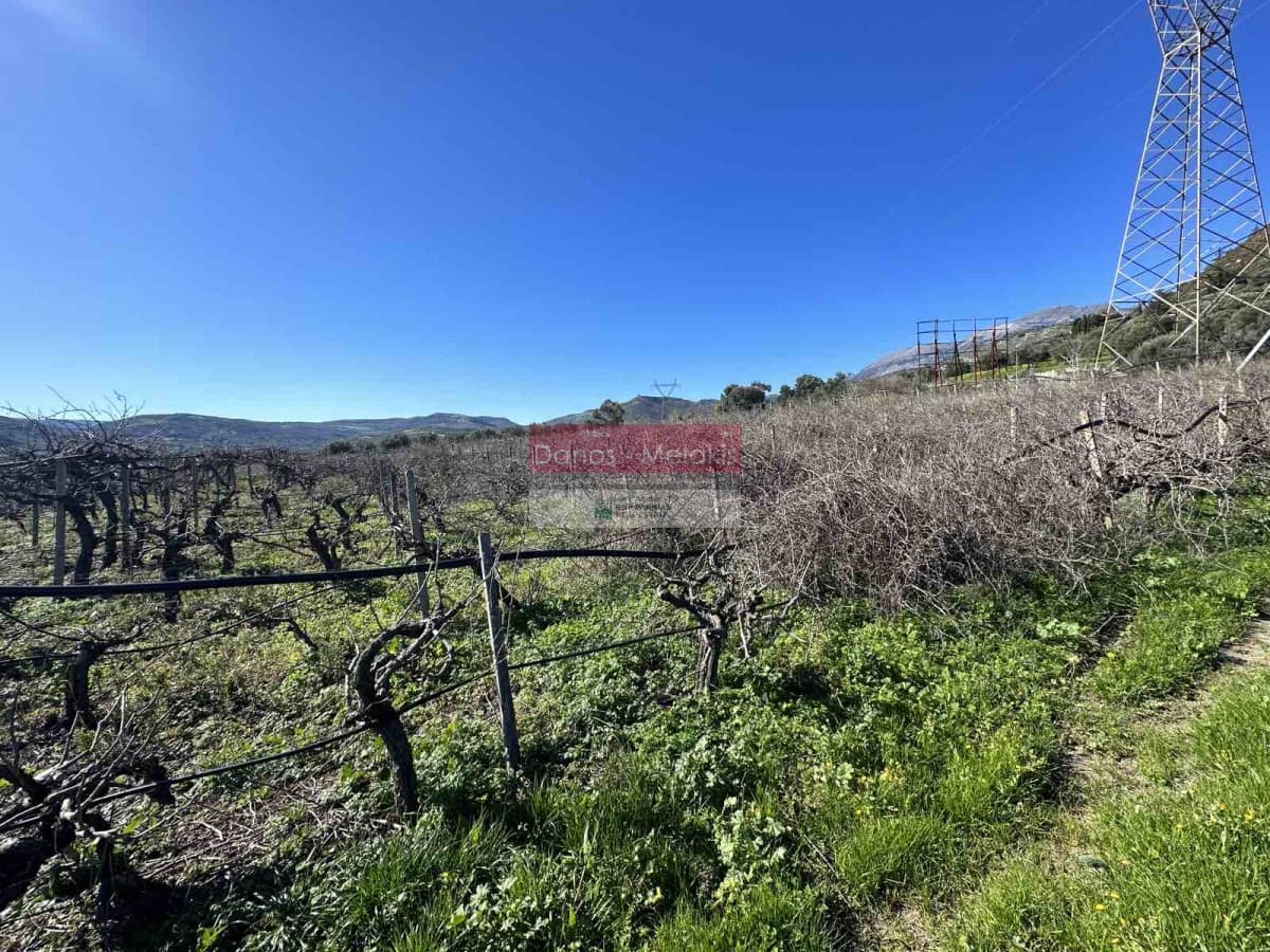 Building Plot in Kerasia, Tetrachori — Photo 9 of 9