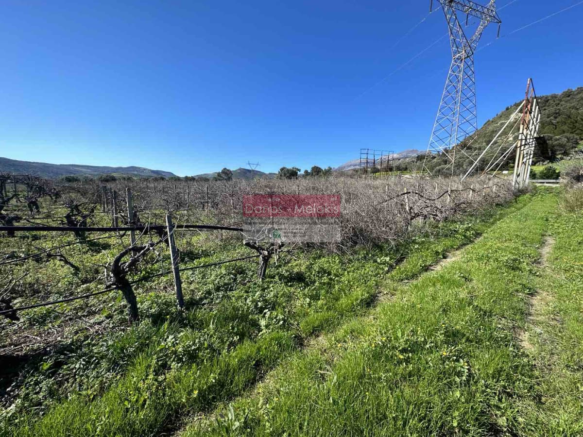 Building Plot in Kerasia, Tetrachori — Photo 4 of 9