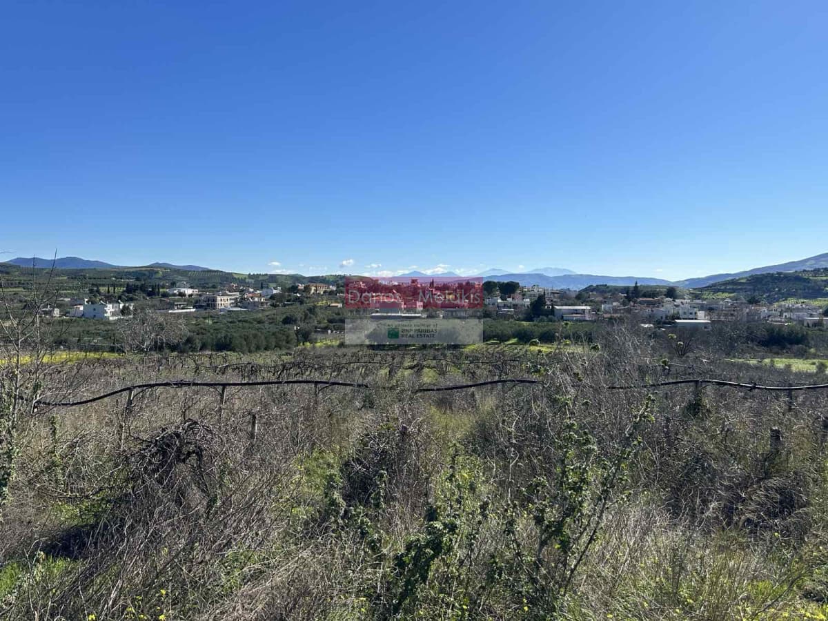 Building Plot in Kerasia, Tetrachori — Photo 7 of 9