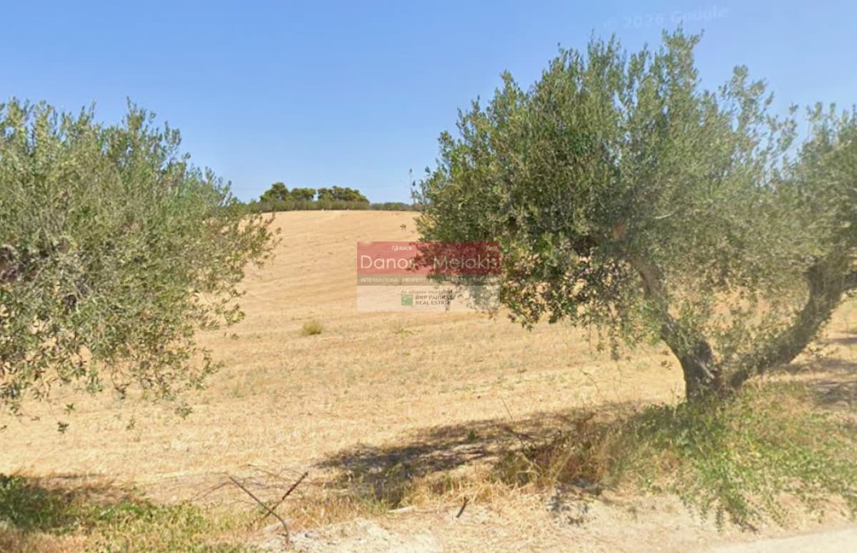 Αγροτεμάχιο στην Σίλαμος, Αρχάνες — Φωτογραφία 2 από 4