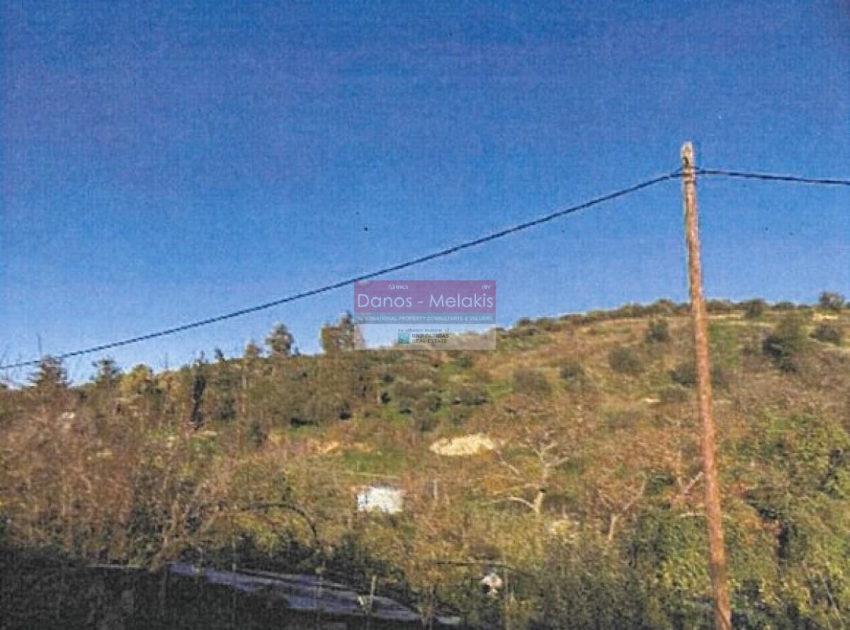 Αγροτεμάχιο στην Αγία Ειρήνη, Αρχάνες — Φωτογραφία 1 από 3