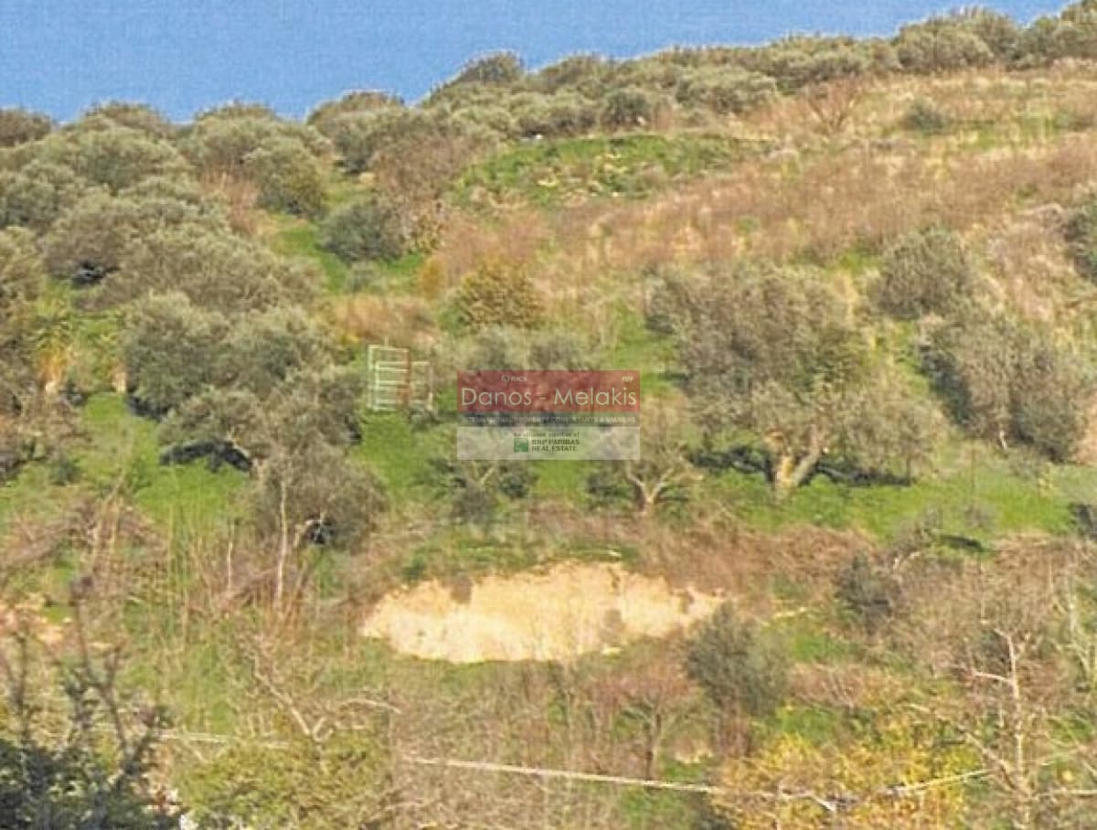 Αγροτεμάχιο στην Αγία Ειρήνη, Αρχάνες — Φωτογραφία 3 από 3