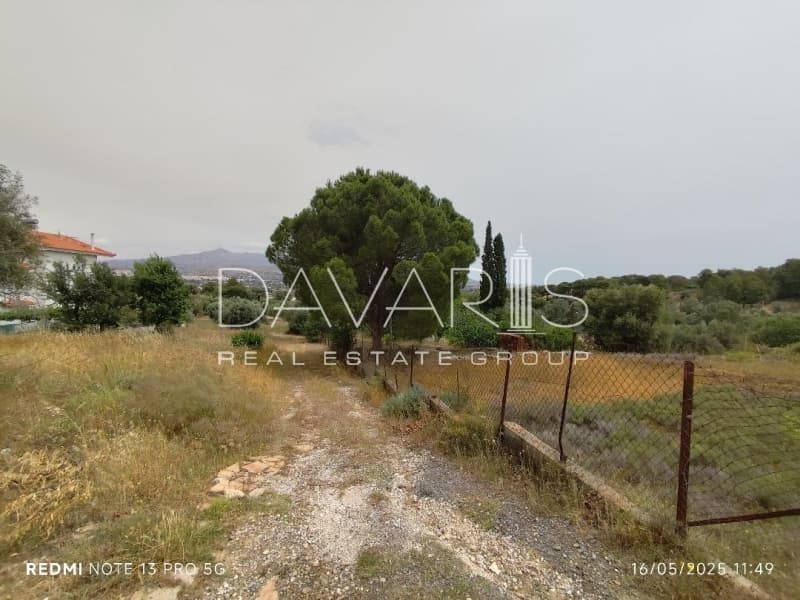Οικόπεδο στην Αγία Μαρίνα, Παιανία — Φωτογραφία 1 από 2