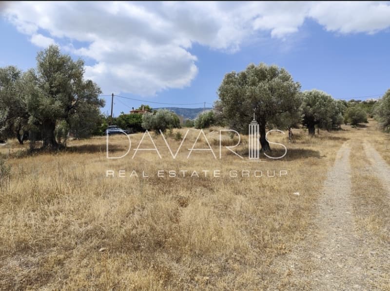 Αγροτεμάχιο στην Αγία Μαρίνα, Παιανία