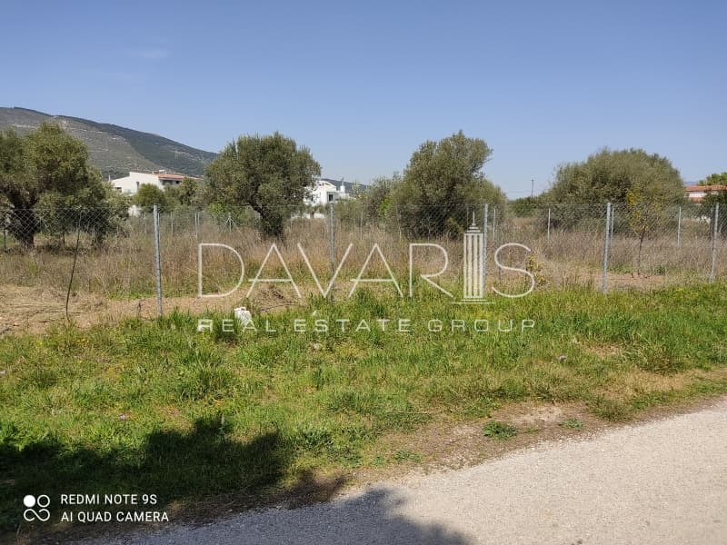 Οικόπεδο στην Αγία Μαρίνα, Παιανία — Φωτογραφία 3 από 4
