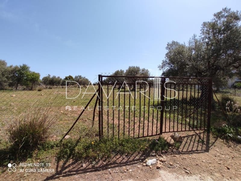 Οικόπεδο στην Αγία Μαρίνα, Παιανία — Φωτογραφία 2 από 4
