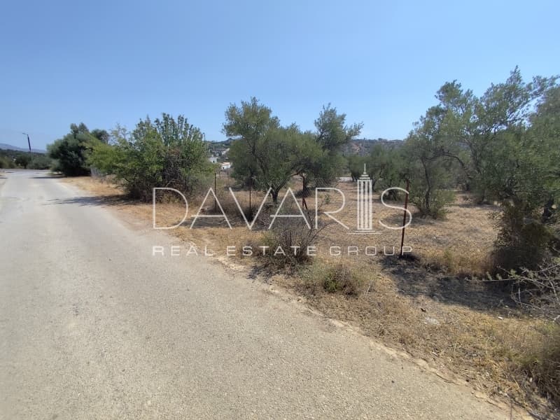 Οικόπεδο στην Αγία Μαρίνα, Παιανία — Φωτογραφία 3 από 3