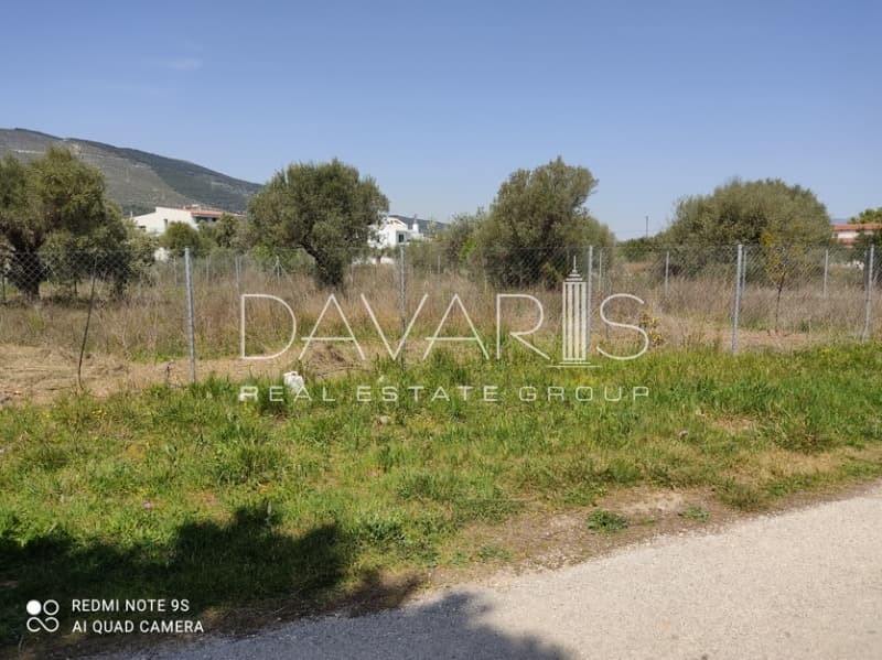 Οικόπεδο στην Μουσείο Βορρέ, Παιανία — Φωτογραφία 2 από 4