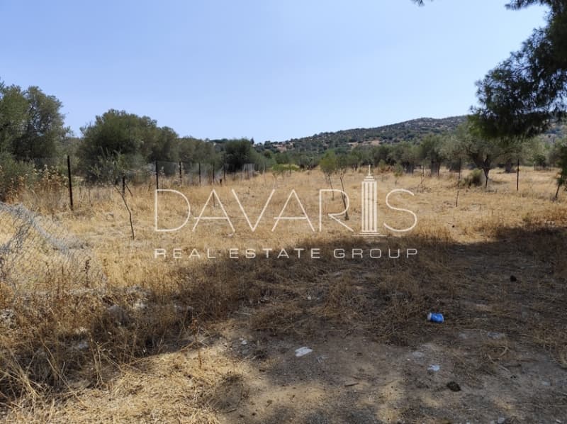 Οικόπεδο στην Αγία Μαρίνα, Παιανία — Φωτογραφία 2 από 3