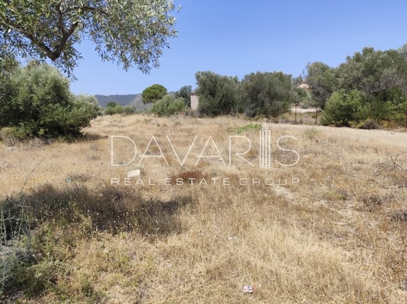 Οικόπεδο στην Αγία Μαρίνα, Παιανία — Φωτογραφία 1 από 3