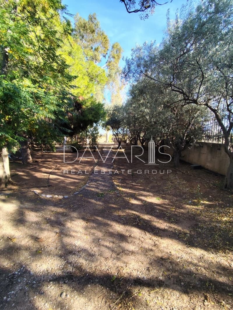House in Karelas, Paiania — Photo 14 of 30