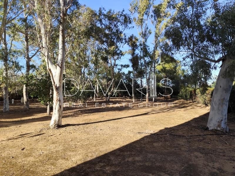 House in Karelas, Paiania — Photo 10 of 30
