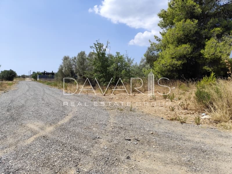 Οικόπεδο στην Άνω Μπαλάνα, Παλλήνη