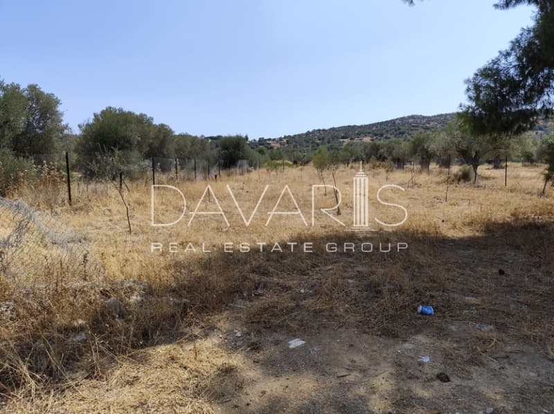Οικόπεδο στην Νεάπολη, Σπάτα