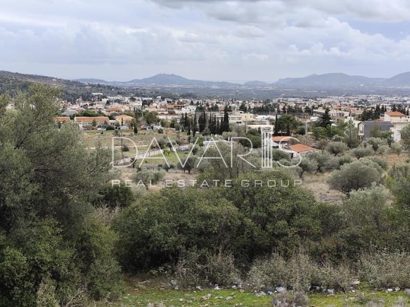 Οικόπεδο στην Μουσείο Βορρέ, Παιανία