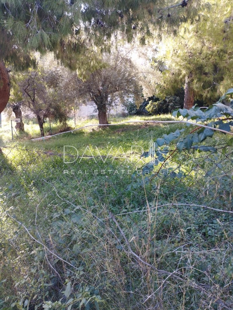 Οικόπεδο στην Φούρεσι, Γλυκά Νερά — Φωτογραφία 2 από 8