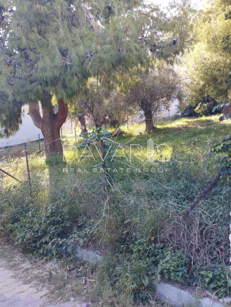 Οικόπεδο στην Φούρεσι, Γλυκά Νερά — Φωτογραφία 7 από 8