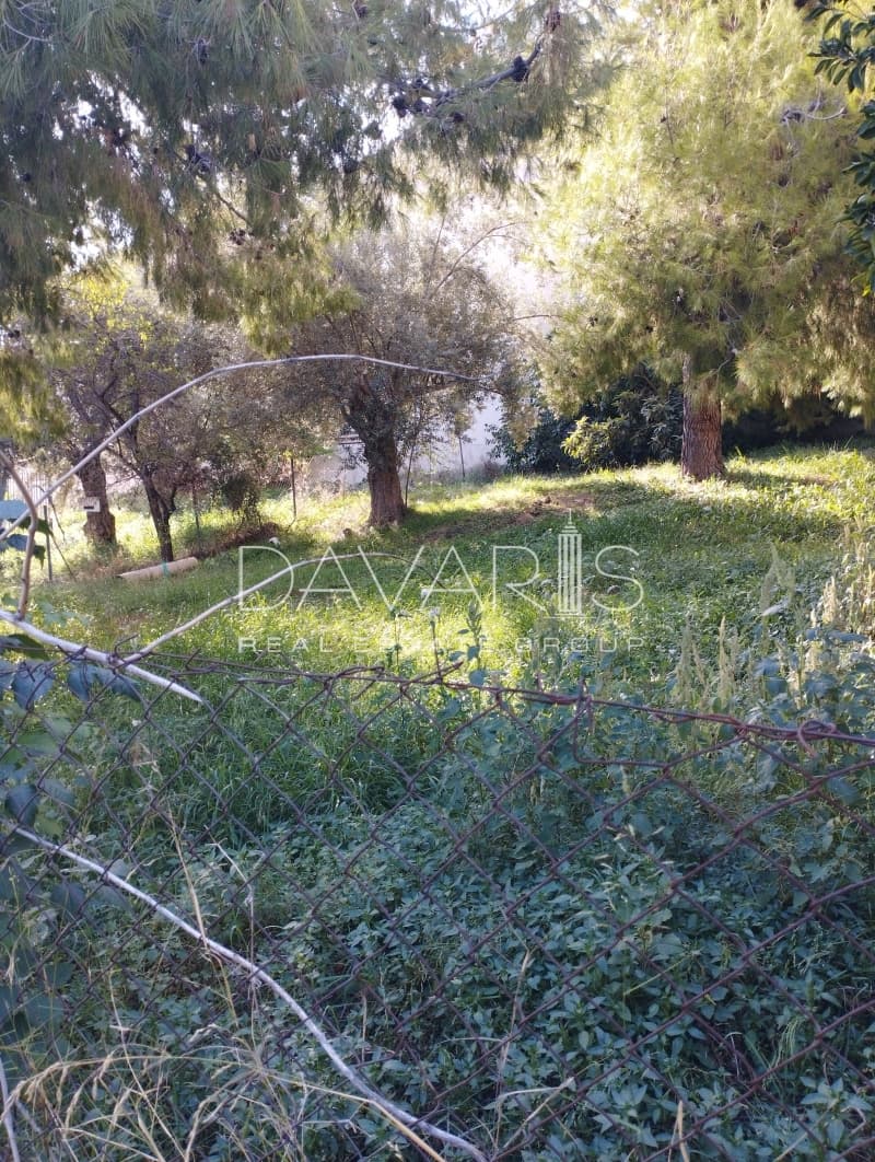 Οικόπεδο στην Φούρεσι, Γλυκά Νερά — Φωτογραφία 3 από 8