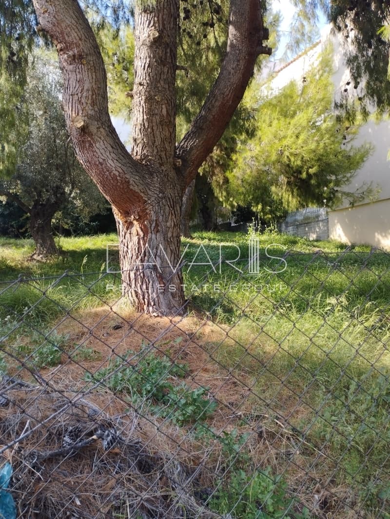 Οικόπεδο στην Φούρεσι, Γλυκά Νερά — Φωτογραφία 5 από 8