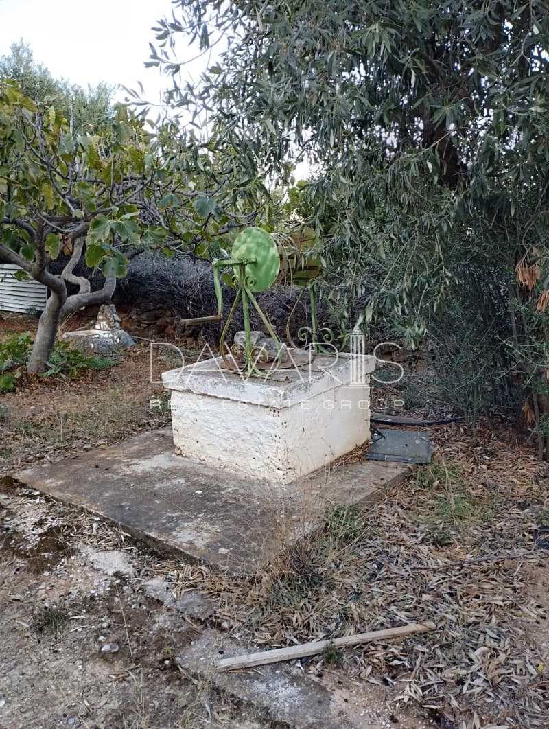 Οικόπεδο στην Κέντρο, Γλυκά Νερά — Φωτογραφία 14 από 16
