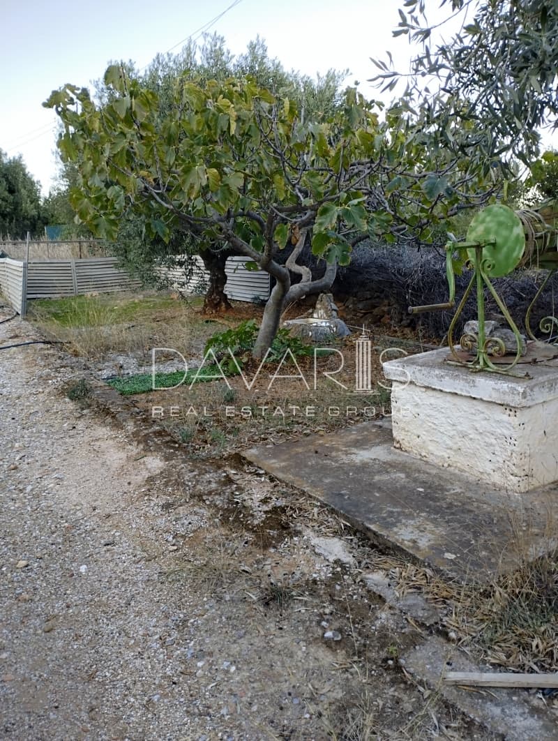 Οικόπεδο στην Κέντρο, Γλυκά Νερά — Φωτογραφία 15 από 16
