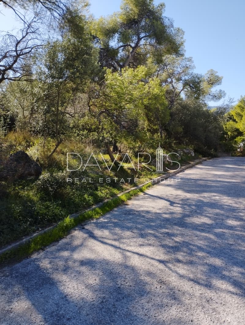 Οικόπεδο στην Άνω Μπαλάνα, Παλλήνη — Φωτογραφία 2 από 4
