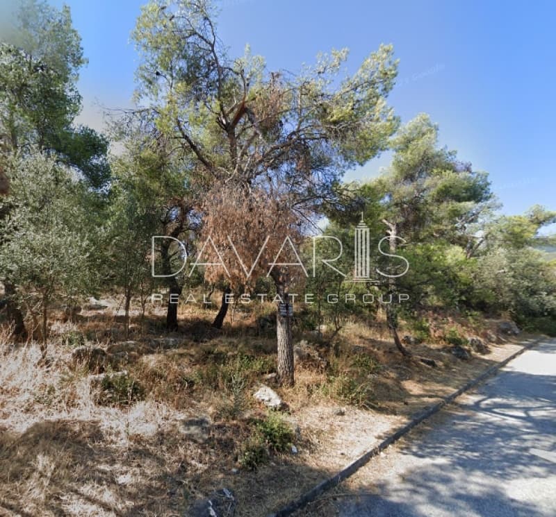 Οικόπεδο στην Άνω Μπαλάνα, Παλλήνη — Φωτογραφία 1 από 4